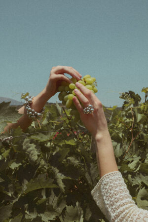 Georg Jensen campaign grapes vineyard luxury lifestyle photography